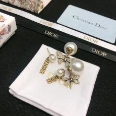 Christian Dior Earrings